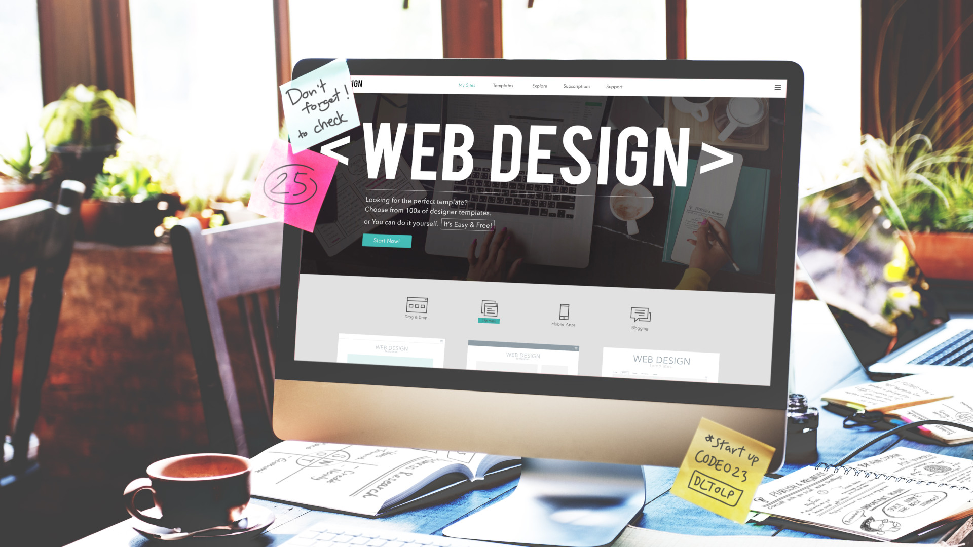 Web Design & Development